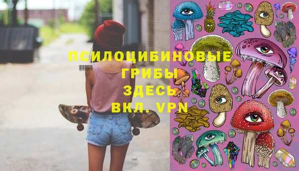 ECSTASY Лиски
