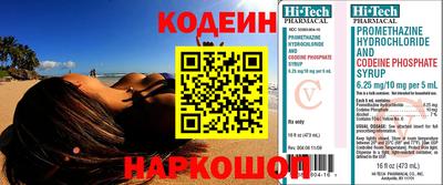 молекула духа Кингисепп