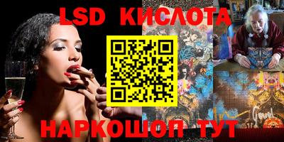 ПСИЛОЦИБИНОВЫЕ ГРИБЫ Кимры