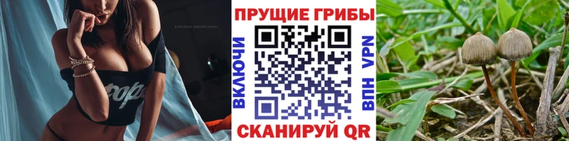 Галлюциногенные грибы GOLDEN TEACHER Строитель