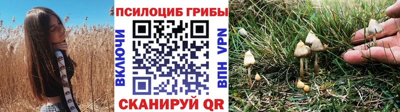Псилоцибиновые грибы MAGIC MUSHROOMS  Строитель 