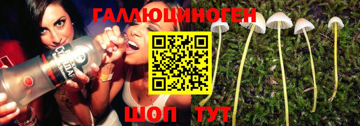 Псилоцибиновые грибы MAGIC MUSHROOMS Строитель