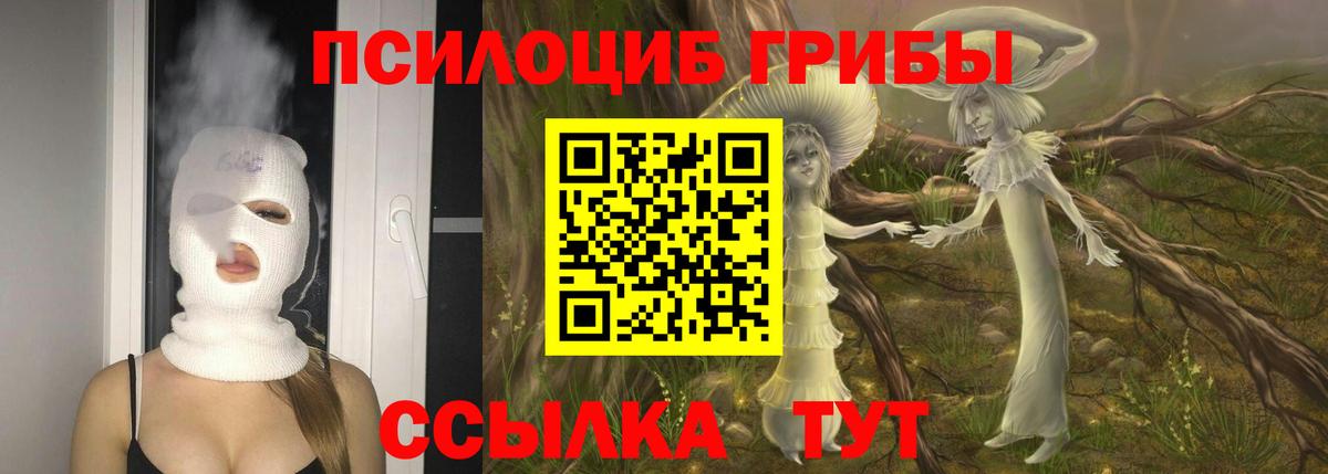 Галлюциногенные грибы ЛСД  Вход с VPN  Строитель  купить закладку  Псилоцибиновые грибы ЛСД 