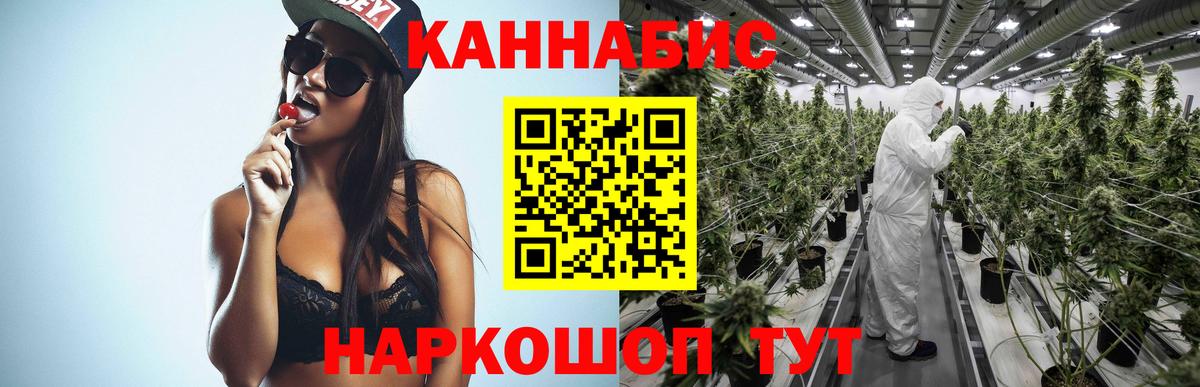 Шишки марихуана индика  Вход с VPN  Строитель  Конопля SATIVA & INDICA  Конопля SATIVA & INDICA 